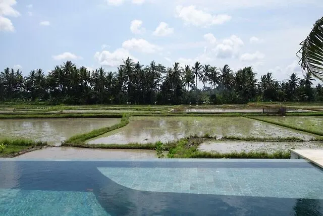 Balinese Luxurious Elegance Villa Ubud
