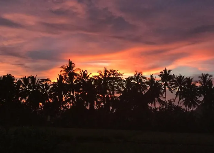 Balinese Luxurious Elegance